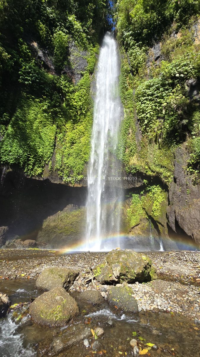 Pucak Manik Waterfall in Bali with white cascade falling into moss-covered pool surrounded by lush tropical jungle vegetation - stock photo