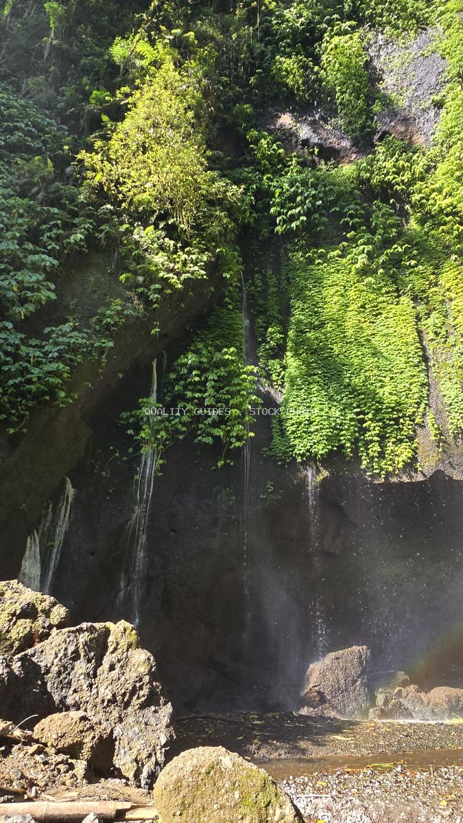Waterfall flowing through lush tropical jungle gorge with moss-covered rocks and dense green vegetation in Bali - stock photo