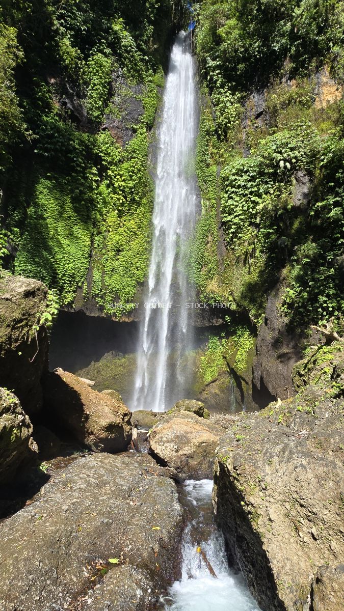 Pucak Manik Waterfall in Bali with cascading water surrounded by lush green jungle vegetation and moss-covered rocks - stock photo
