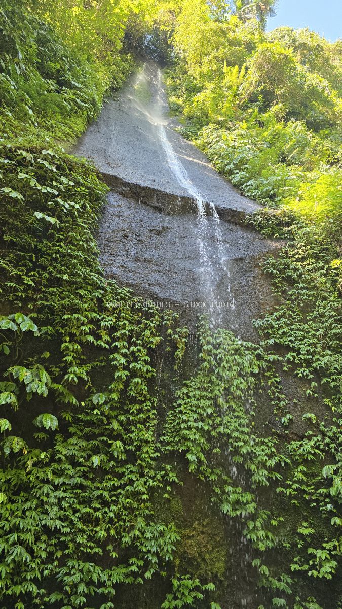 Pucak Manik Waterfall in Bali with cascading water flowing down moss-covered rocks surrounded by lush green tropical jungle vegetation - stock photo