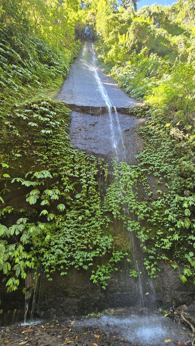 Pucak Manik Waterfall in Bali surrounded by dense green jungle vegetation and vines - stock photo
