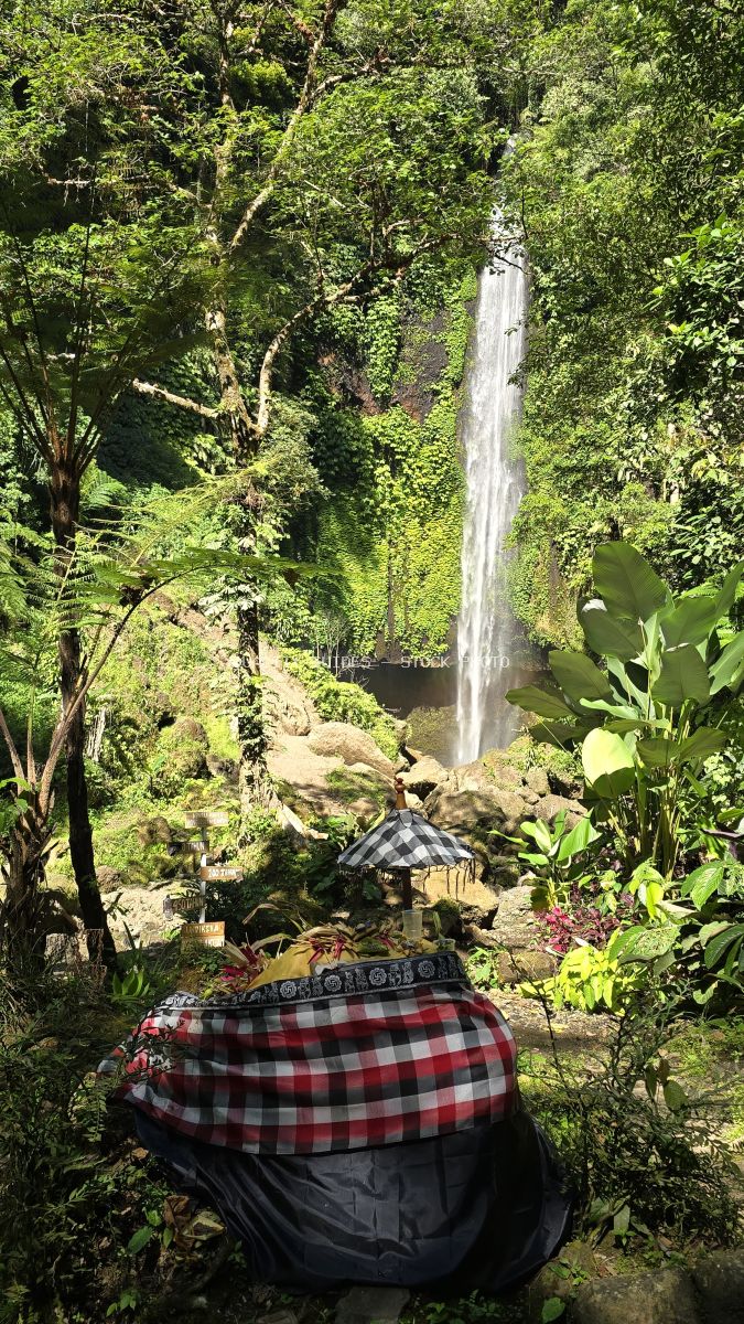 Traveler viewing Pucak Manik Waterfall in Bali jungle, surrounded by lush tropical vegetation and moss-covered rocks - stock photo