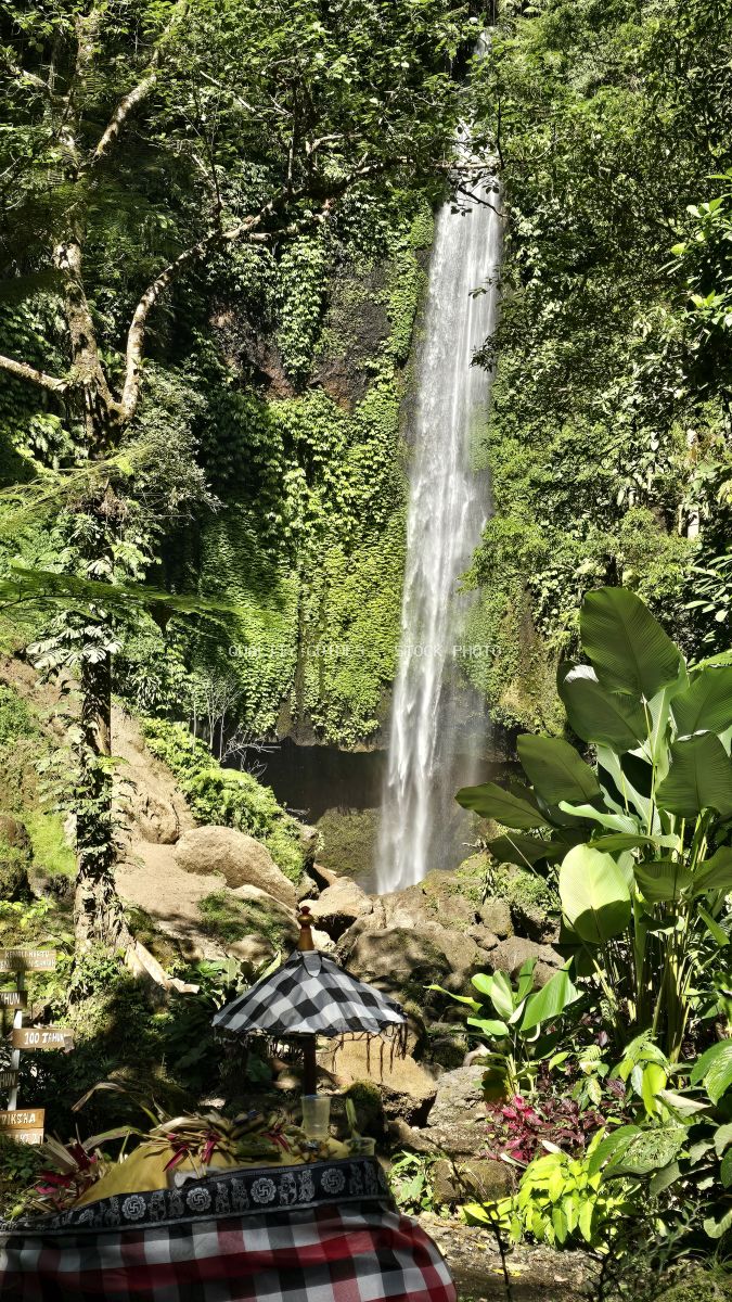 Tourist with umbrella viewing Pucak Manik Waterfall in lush Bali jungle surrounded by tropical vegetation - stock photo