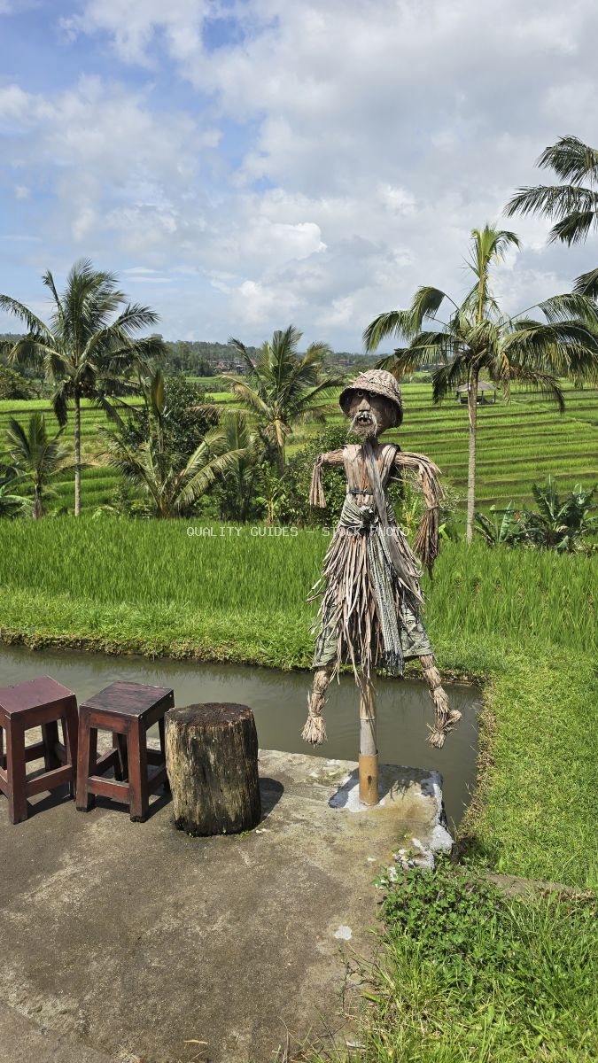 Scarecrow in straw clothing standing in water at Jatiluwih rice terraces in Bali with green paddies and coconut palms in background - stock photo