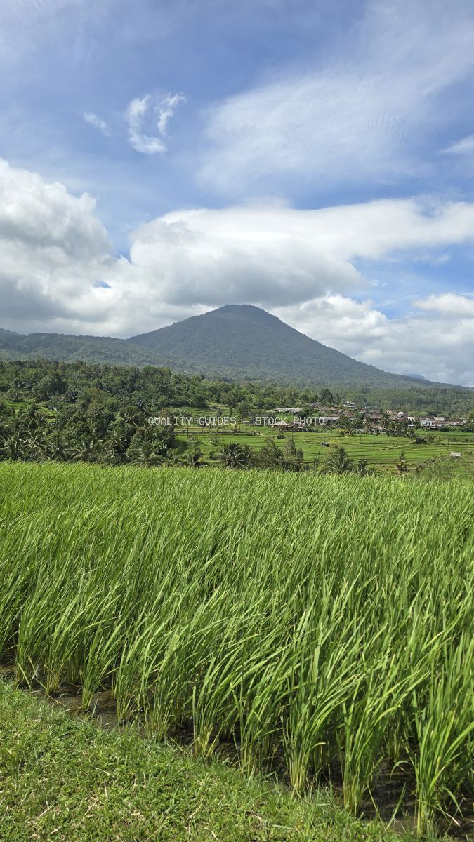Lush green rice terraces with volcanic mountain backdrop in Jatiluwih, Bali, Indonesia - stock photo