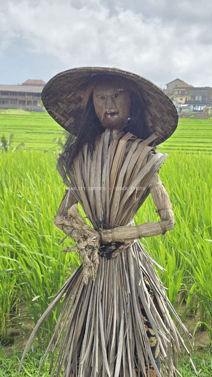Traditional wooden scarecrow with conical hat standing in vibrant green rice paddies at Jatiluwih Rice Terraces, Bali - stock photo