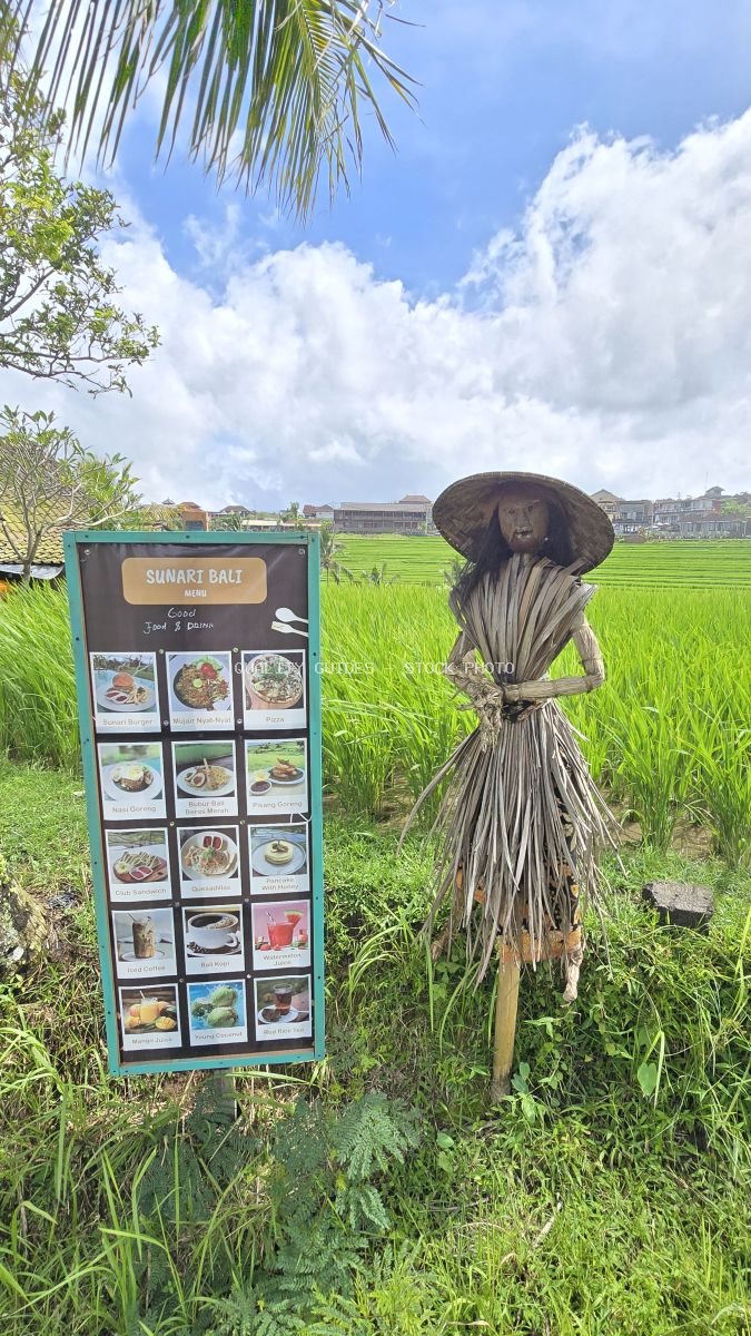 Sunart Bali restaurant menu sign and traditional scarecrow in Jatiluwih rice terraces with lush green paddies and blue sky - stock photo