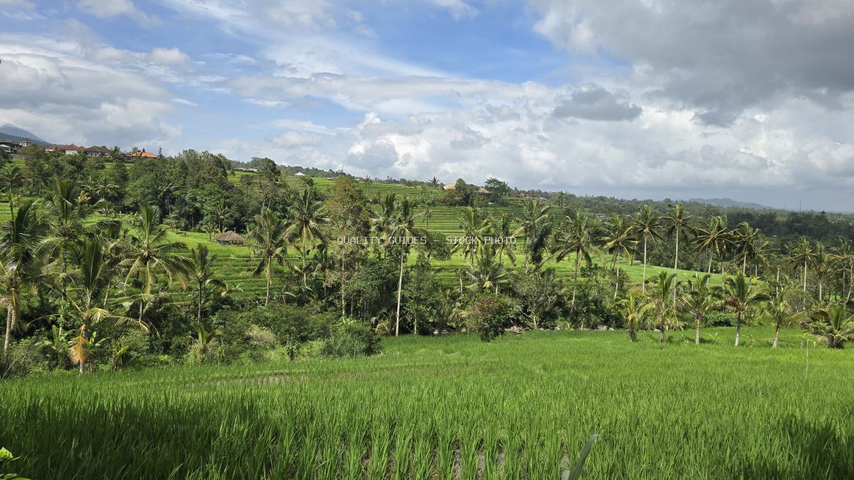 Aerial view of Jatiluwih Rice Terraces in Bali with lush green rice paddies, coconut palms, and dramatic cloudy sky - stock photo