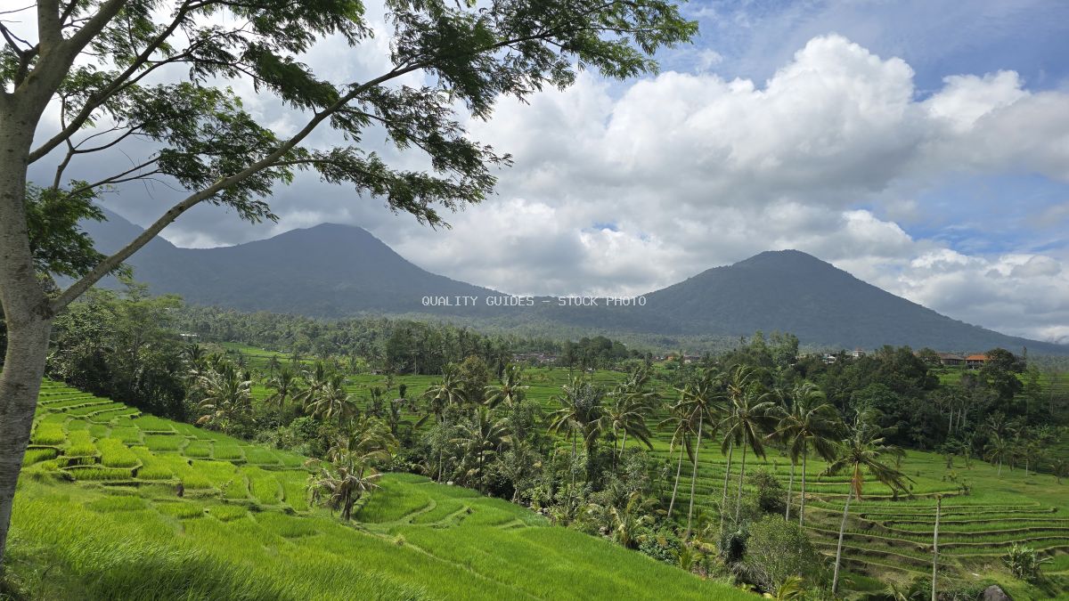 Aerial view of Jatiluwih Rice Terraces in Bali with volcanic mountains and lush green rice paddies - stock photo