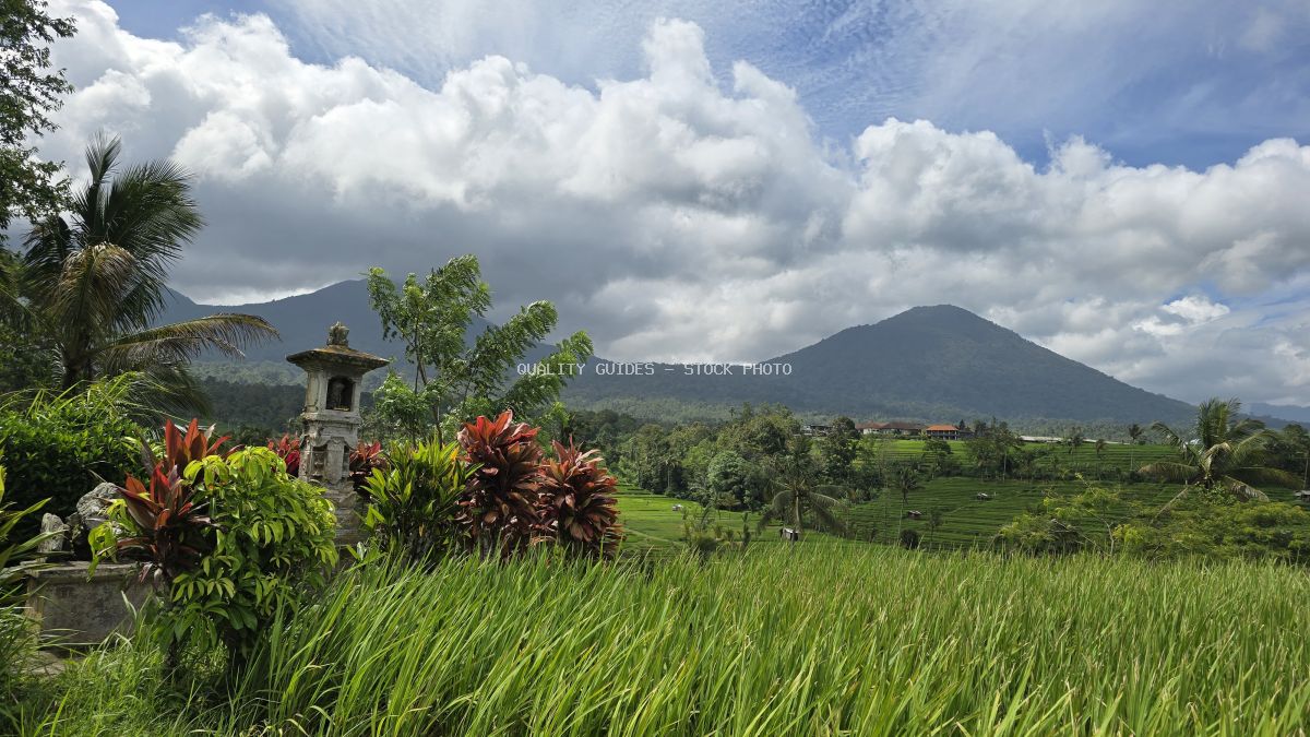 Lush green rice terraces in Jatiluwih Bali with volcanic mountain, traditional stone lantern, and dramatic cloudy sky - stock photo