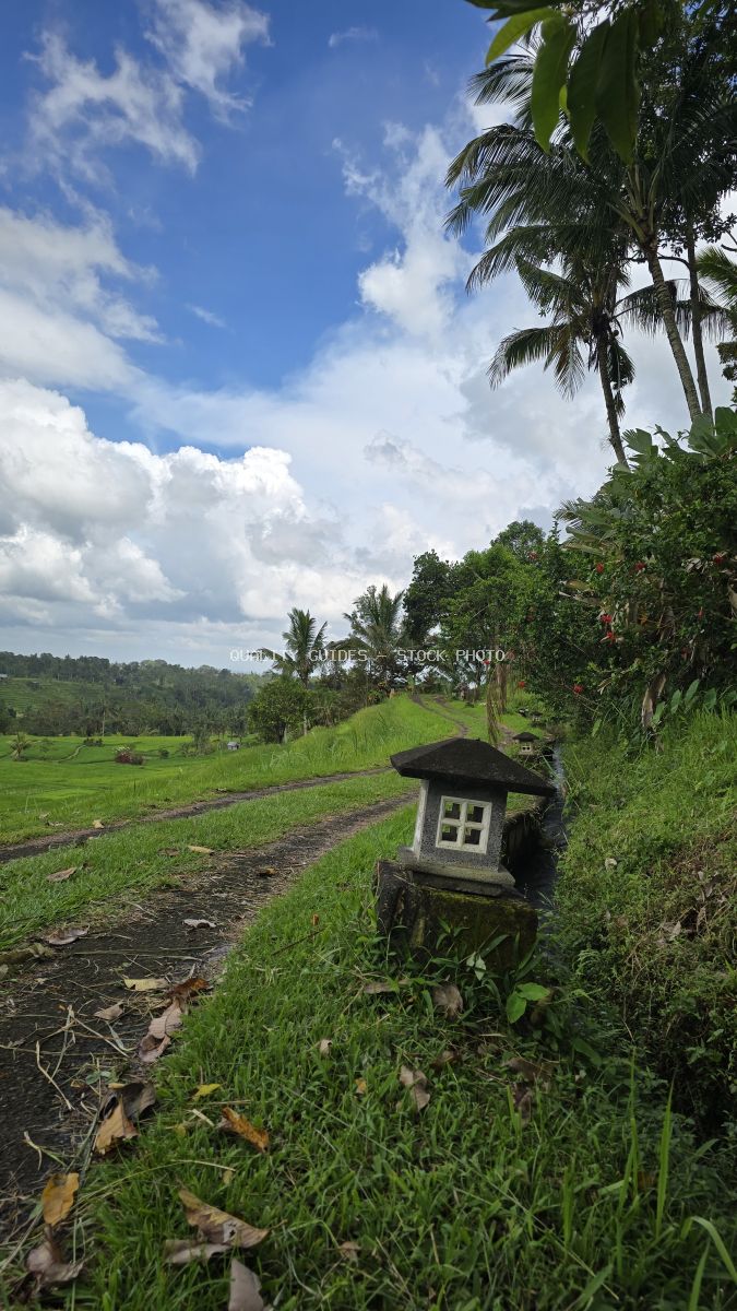 Traditional Balinese shrine overlooking lush green rice terraces with palm trees and blue sky at Jatiluwih, Bali - stock photo