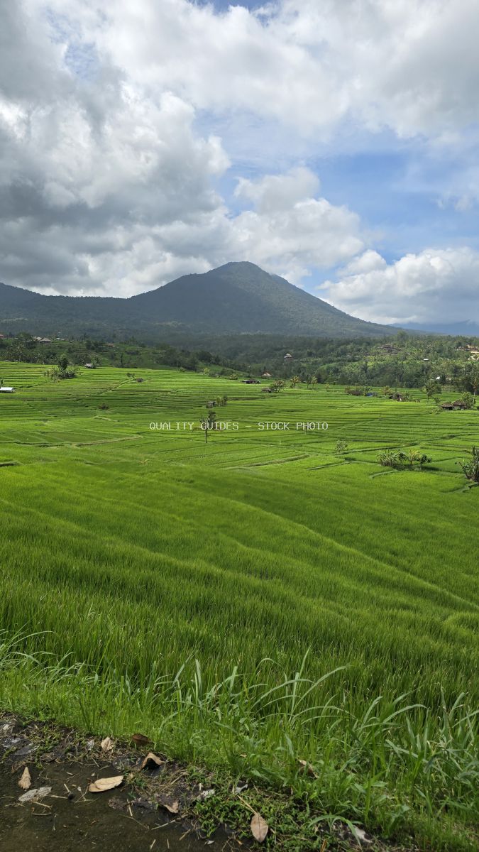 Aerial view of Jatiluwih Rice Terraces in Bali with emerald rice paddies, volcanic mountain, and dramatic cloudy sky - stock photo