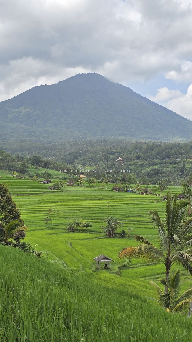 Aerial view of Jatiluwih Rice Terraces in Bali with emerald green paddies and volcanic mountain backdrop - stock photo