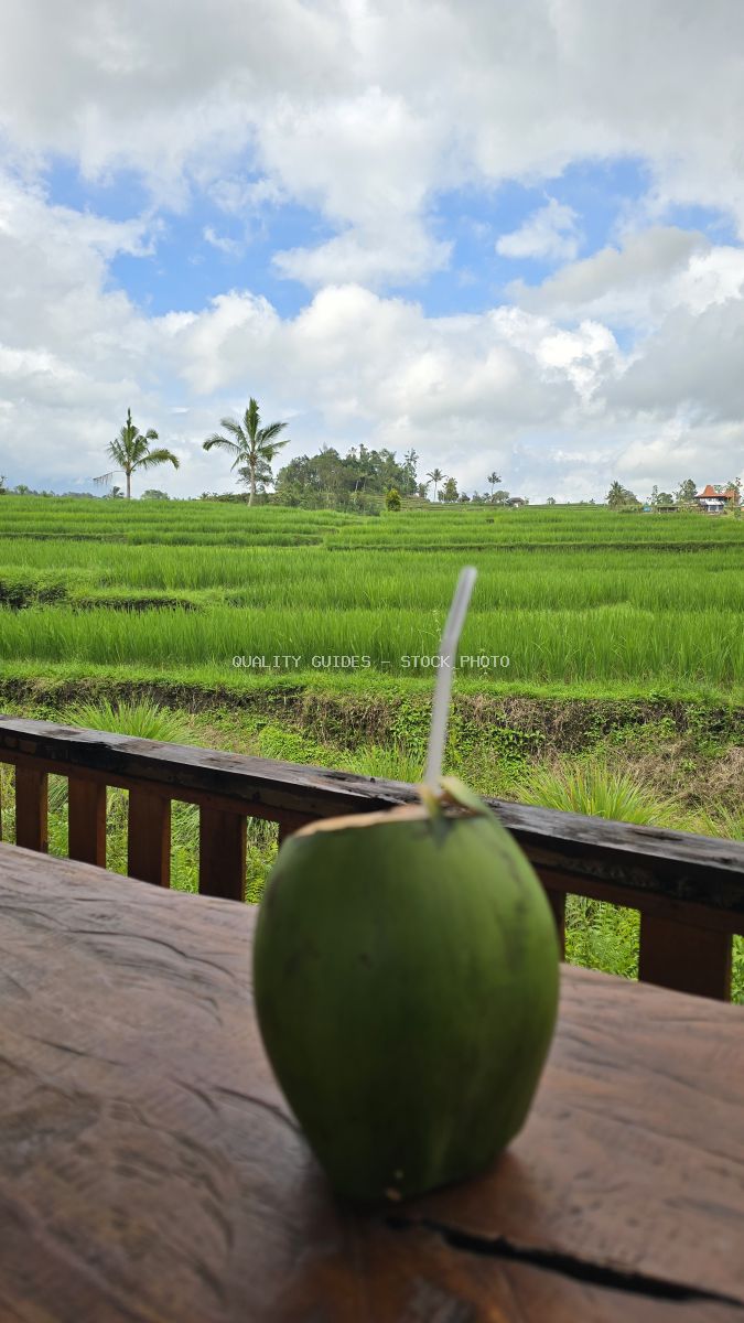 Fresh green coconut drink with straw on wooden table overlooking lush Bali rice terraces and palm trees - stock photo