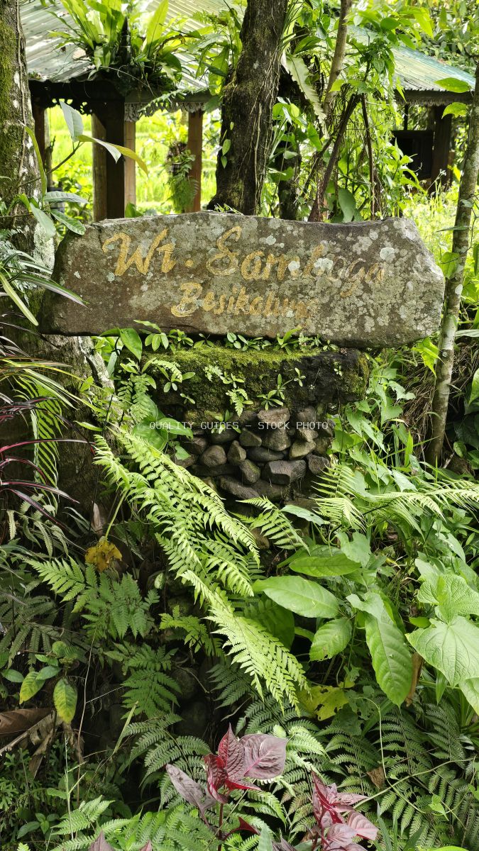 Weathered stone sign with faded text surrounded by lush green ferns and pink flowers in tropical Bali garden - stock photo