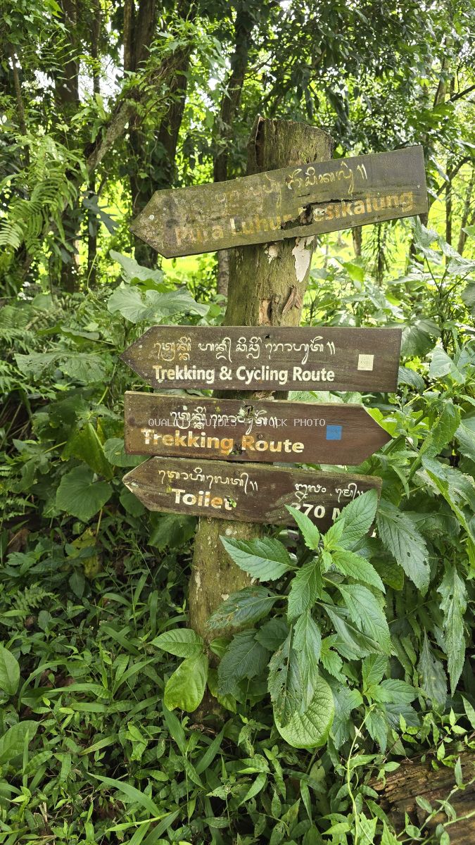 Weathered wooden directional signs on tree trunk in Jatiluwih Rice Terraces jungle, Bali, showing trekking and cycling route markers surrounded by tropical vegetation - stock photo