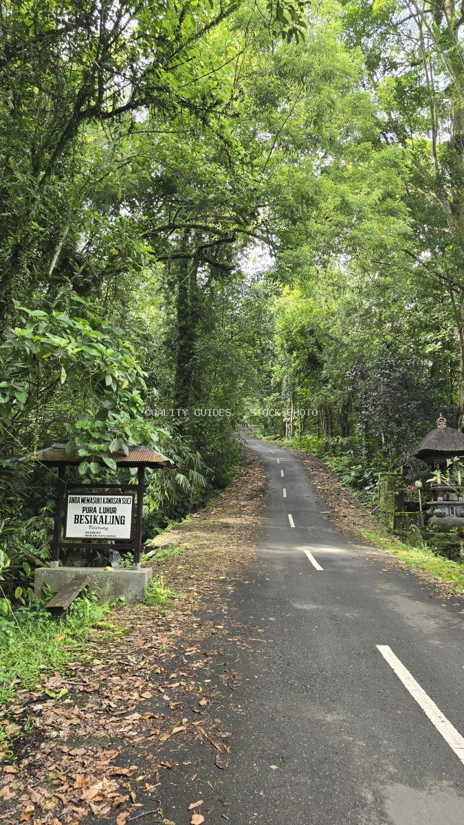 Tree-lined forest road through Jatiluwih Rice Terraces in Bali with traditional village sign and lush green canopy - stock photo