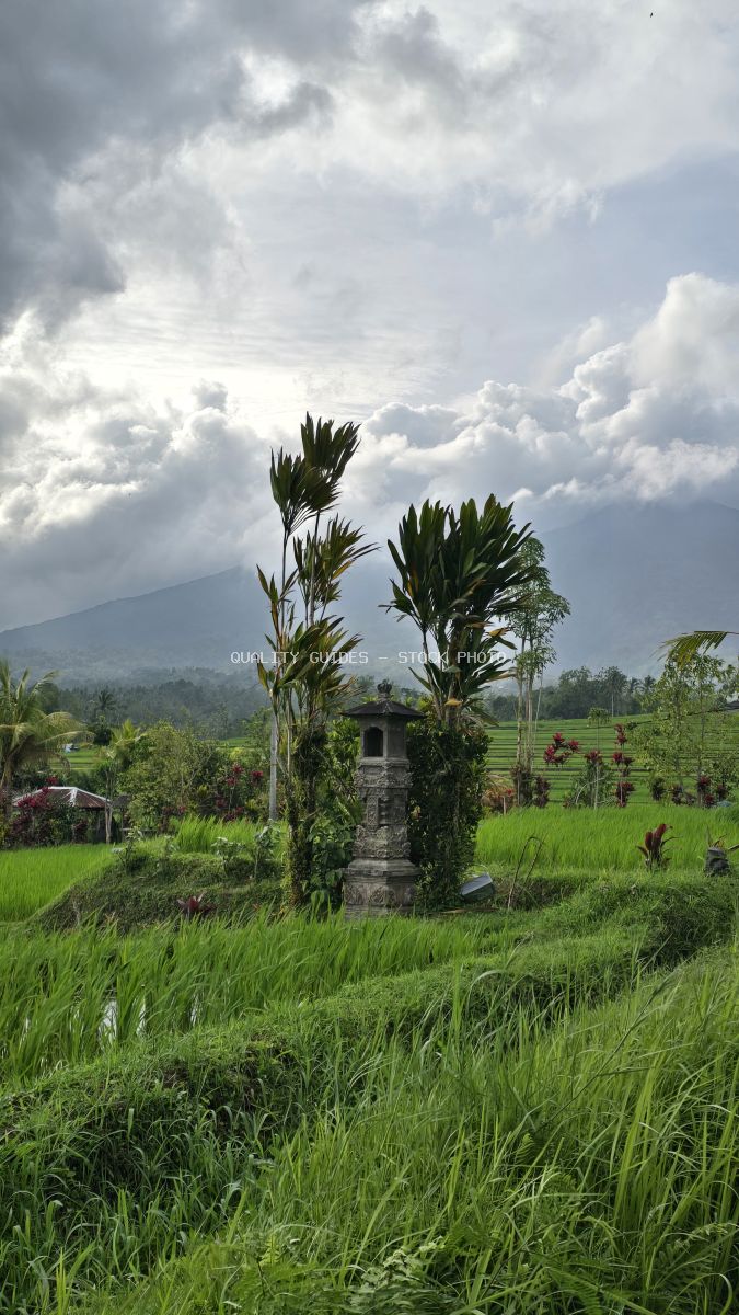 Lush green rice terraces in Jatiluwih Bali with dramatic cloudy sky and mountain backdrop - stock photo