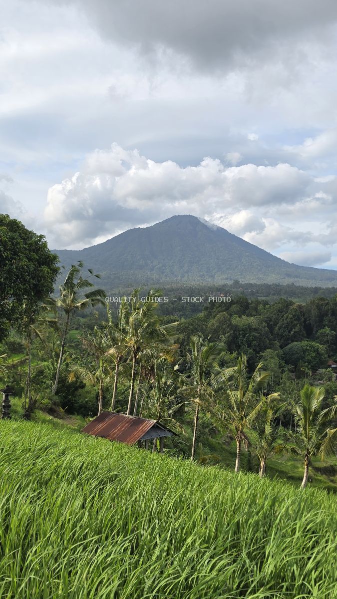 Jatiluwih rice terraces in Bali with lush green paddies, traditional shelter, and volcanic mountain under cloudy sky - stock photo