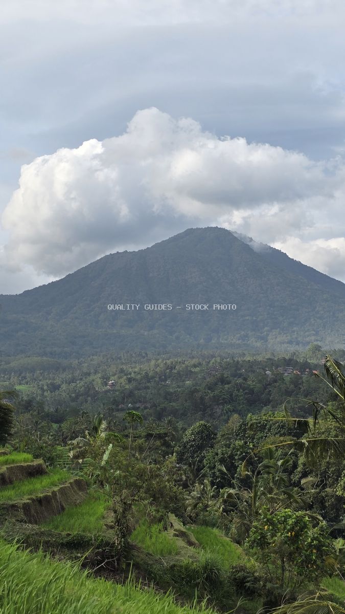 Volcanic mountain overlooking green rice terraces and tropical forest in Jatiluwih, Bali, with dramatic white clouds in sky - stock photo