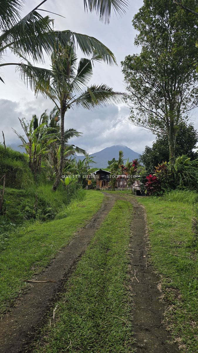 Rural dirt path through tropical Balinese village with coconut palms, traditional structure, and volcanic mountain in background - stock photo