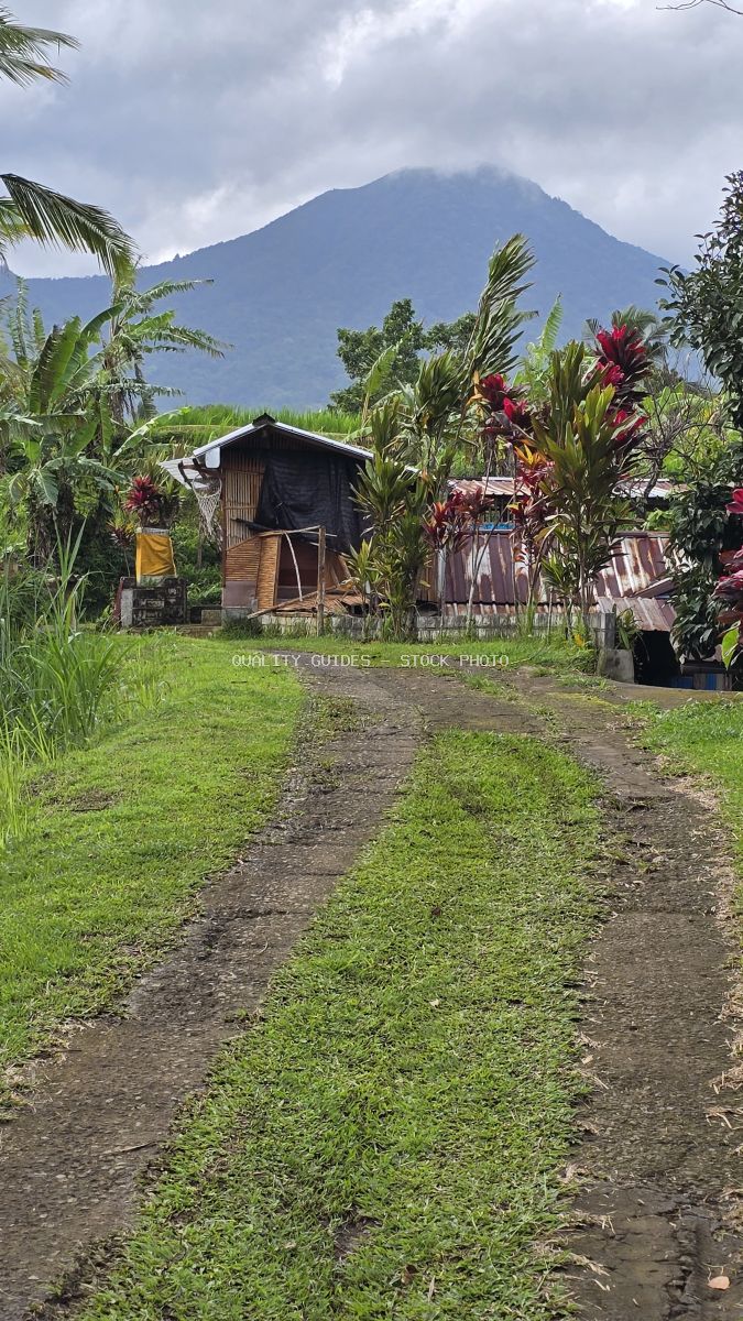 Traditional Balinese village with wooden houses, red ginger flowers, and Mount Agung volcano in background - stock photo