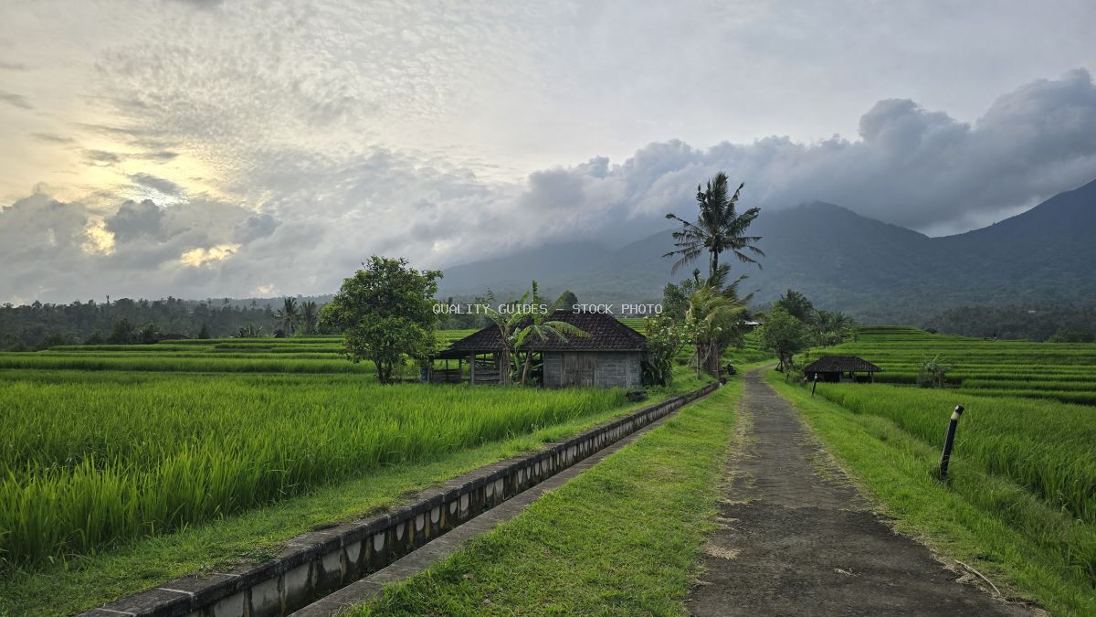Jatiluwih Rice Terraces in Bali with traditional Balinese house, green rice paddies, and misty mountains - stock photo