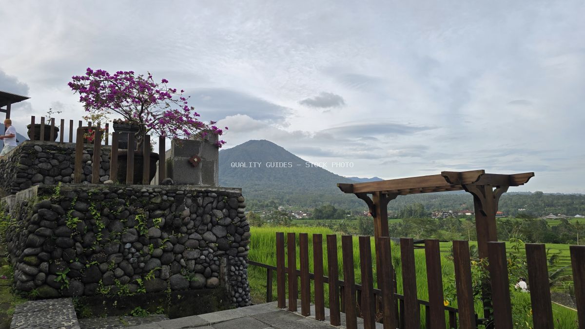 Jatiluwih Rice Terraces viewpoint in Bali with wooden pergola, purple bougainvillea, green rice paddies, and volcanic mountain backdrop - stock photo