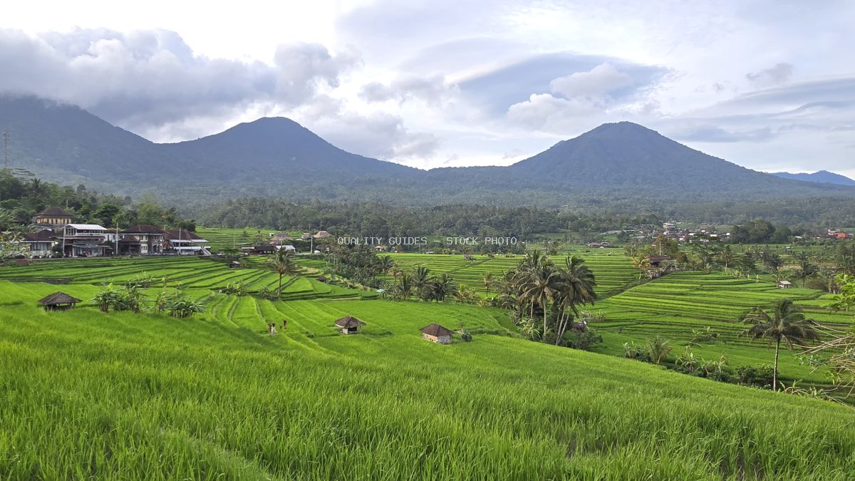 Aerial view of Jatiluwih Rice Terraces in Bali with emerald rice paddies, volcanic mountains, and traditional farm structures - stock photo