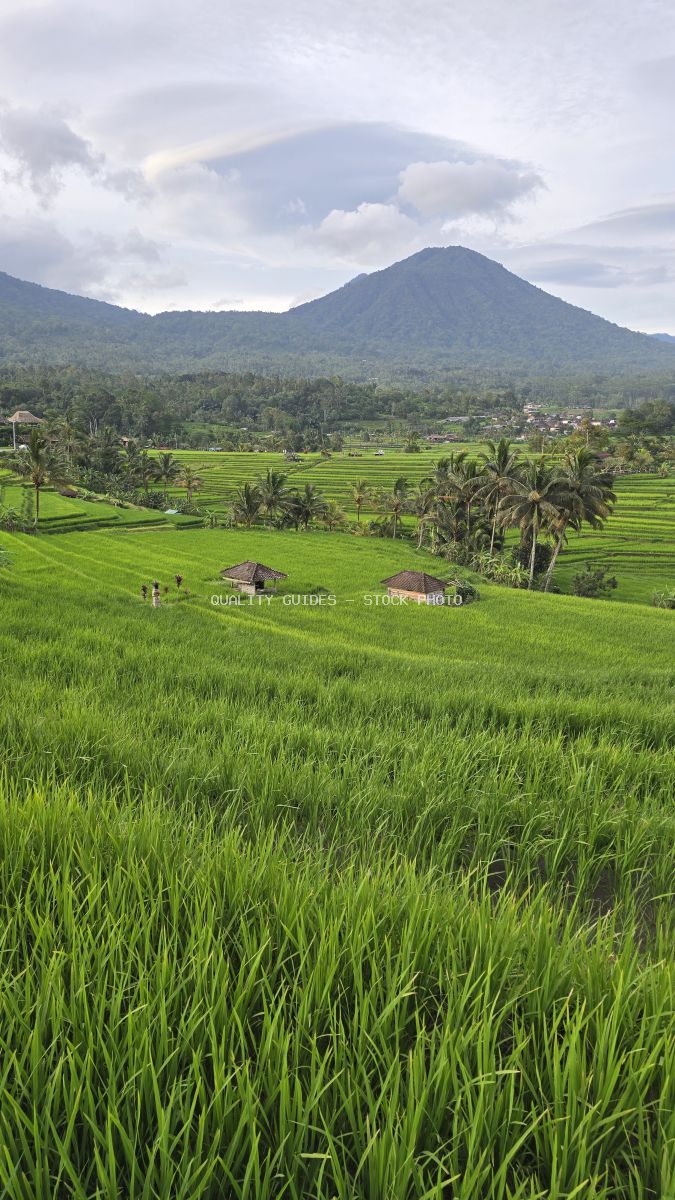Aerial view of emerald rice terraces with volcano mountain and traditional farm buildings in Jatiluwih, Bali - stock photo