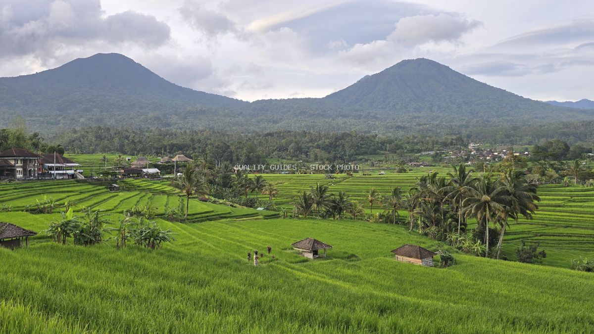 Aerial view of Jatiluwih Rice Terraces in Bali with twin volcanic peaks and traditional farming structures - stock photo