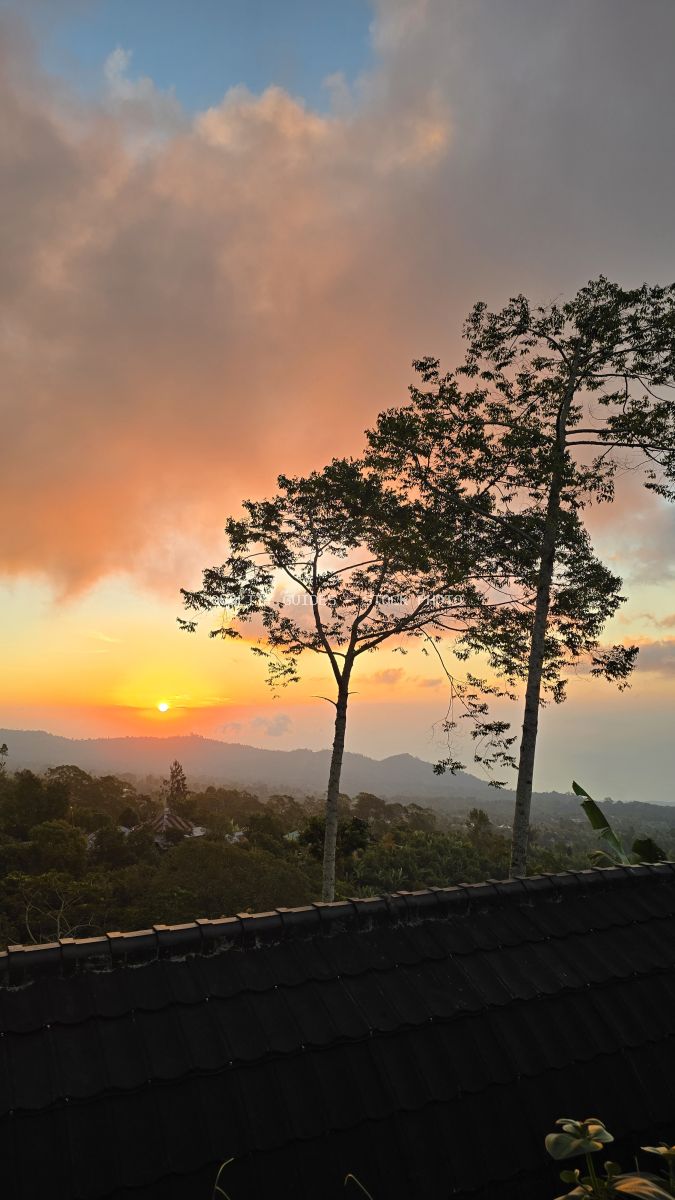 Golden sunset over Bali mountains with silhouetted tropical trees and lush forest landscape from Giri Garden Sunset Glamping - stock photo