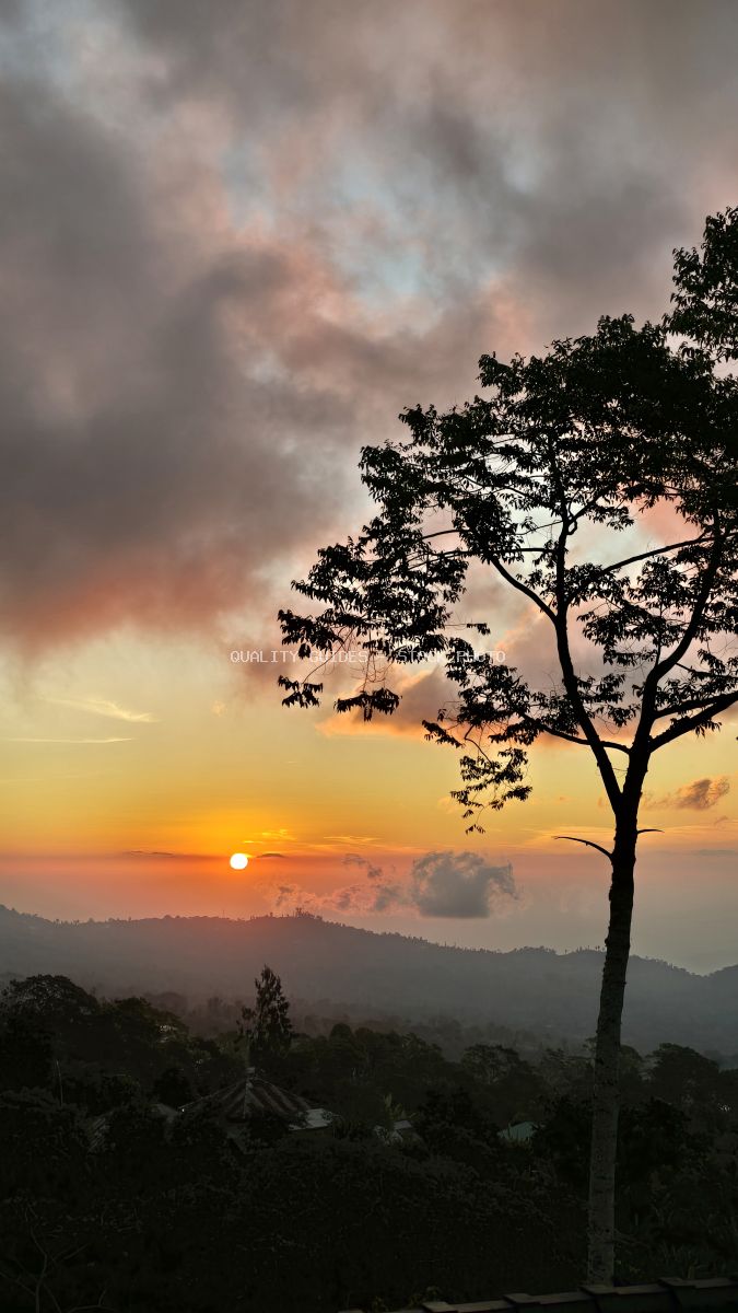 Silhouetted tree framing golden sunset over misty Bali mountain landscape at dusk - stock photo