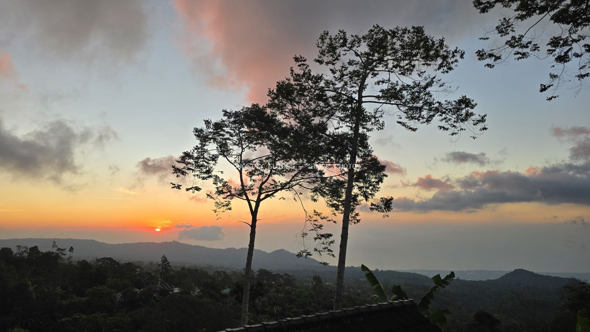 Sunset view from Giri Garden Glamping in Bali with silhouetted trees and mountain valley landscape - stock photo