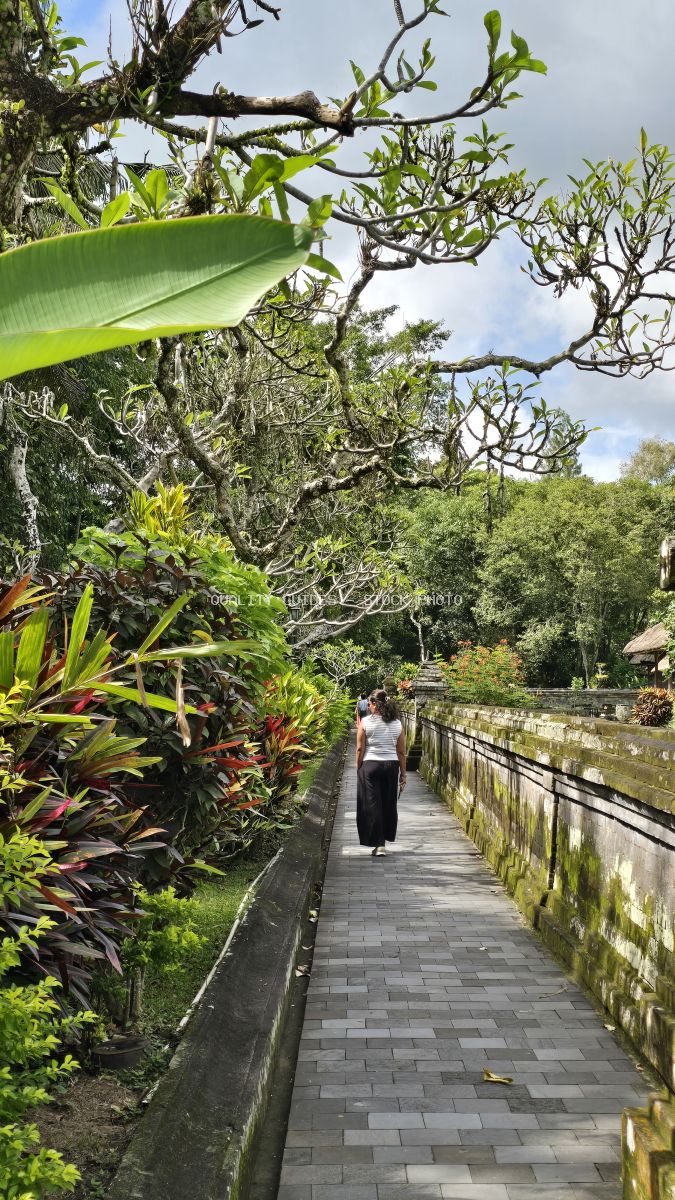 Woman walking through tropical garden pathway with gnarled trees and lush foliage at Taman Ayun Temple in Bali - stock photo