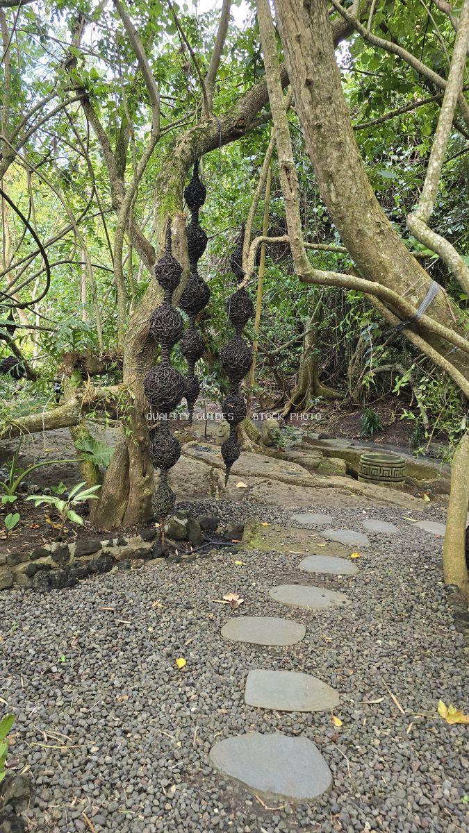 Tropical garden pathway with stepping stones, hanging seed pods, and lush green vegetation in Bali - stock photo