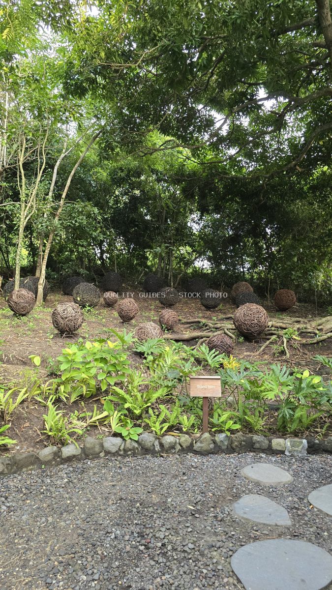 Tropical garden with large woven sphere sculptures, lush green trees, and stepping stone pathway in Bali - stock photo