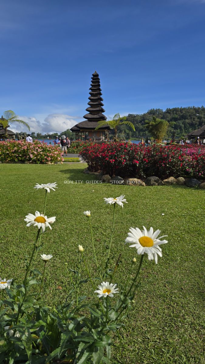 White daisies in foreground with Ulun Danu Beratan Temple pagoda and red flowers in background, Bali - stock photo