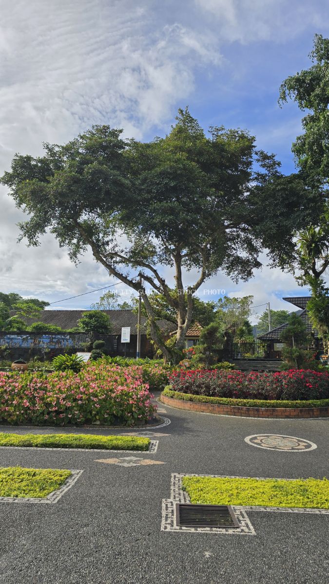 Ulun Danu Beratan Temple gardens in Bali with flowering plants, ancient tree, and traditional architecture - stock photo