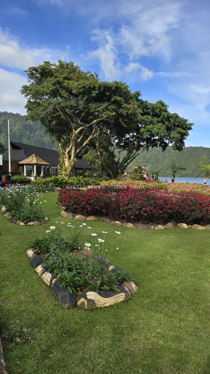Ulun Danu Beratan Temple gardens in Bali with ancient tree, red flowers, and mountain lake view - stock photo
